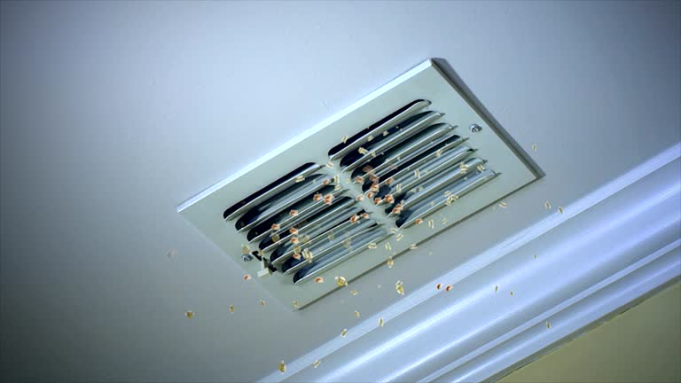 Best Professional Duct Cleaning Services  in Mill Hall, PA