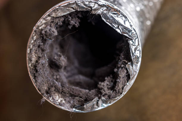 Best Emergency Air Duct Cleaning  in Mill Hall, PA