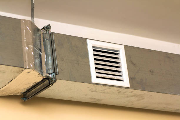 Air Duct Mold Removal in Mill Hall, PA